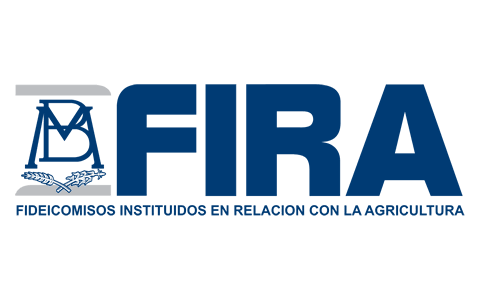 logo_01